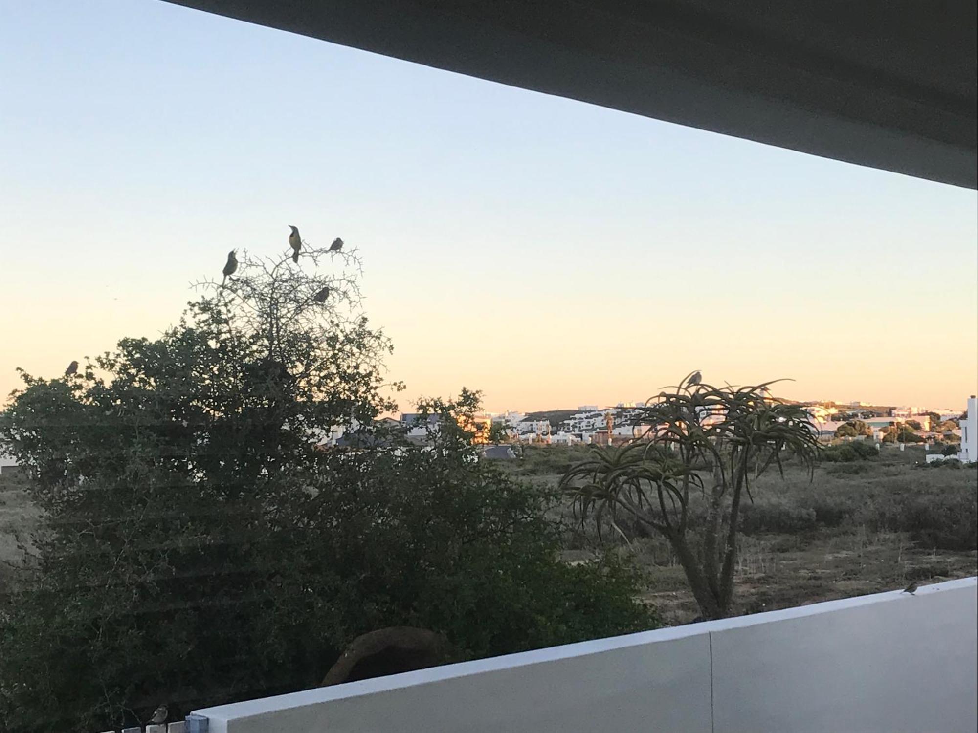 Perfect 10 - 10 To 13 Sleeper Luxury Holiday Home Breakage Deposit Of R2500 Per Weekend Lease Langebaan Luaran gambar