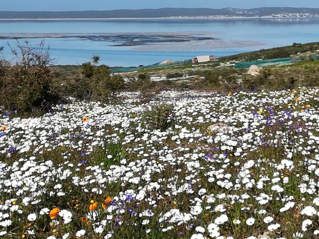 Perfect 10 - 10 To 13 Sleeper Luxury Holiday Home Breakage Deposit Of R2500 Per Weekend Lease Langebaan Luaran gambar